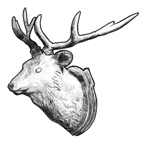 deer